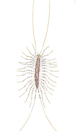 Ecdysozoa