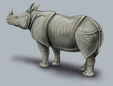 rhinoceros unicornis trading