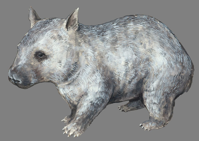 Diprotodontia