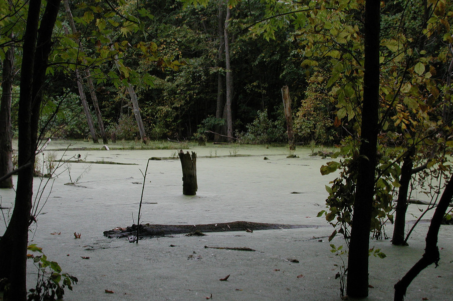 orchardlakepond3