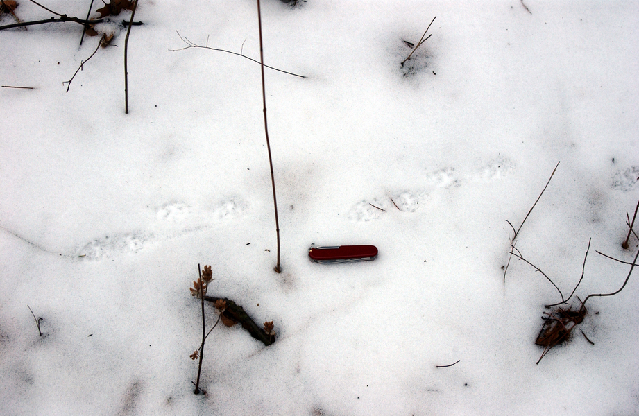 mink_tracks3537