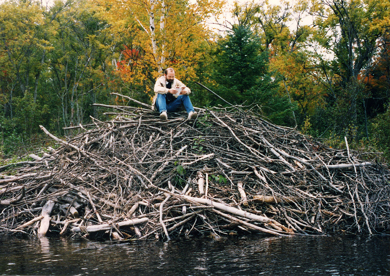 Castor canadensis