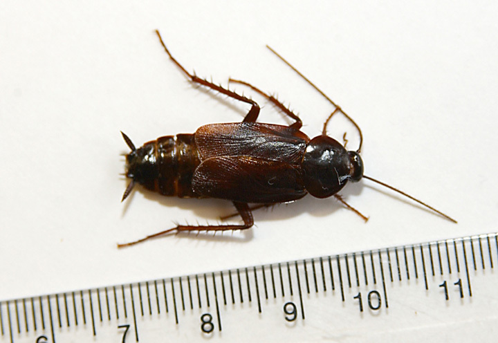 male3