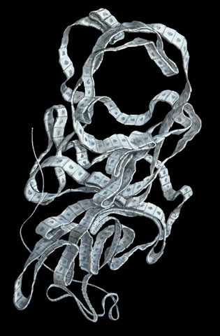 Update on the Human Broad Tapeworm (Genus Diphyllobothrium