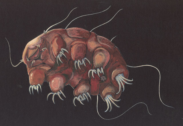 Tardigrada