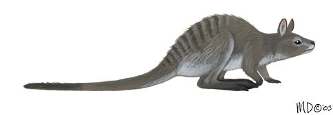 Deuterostomia