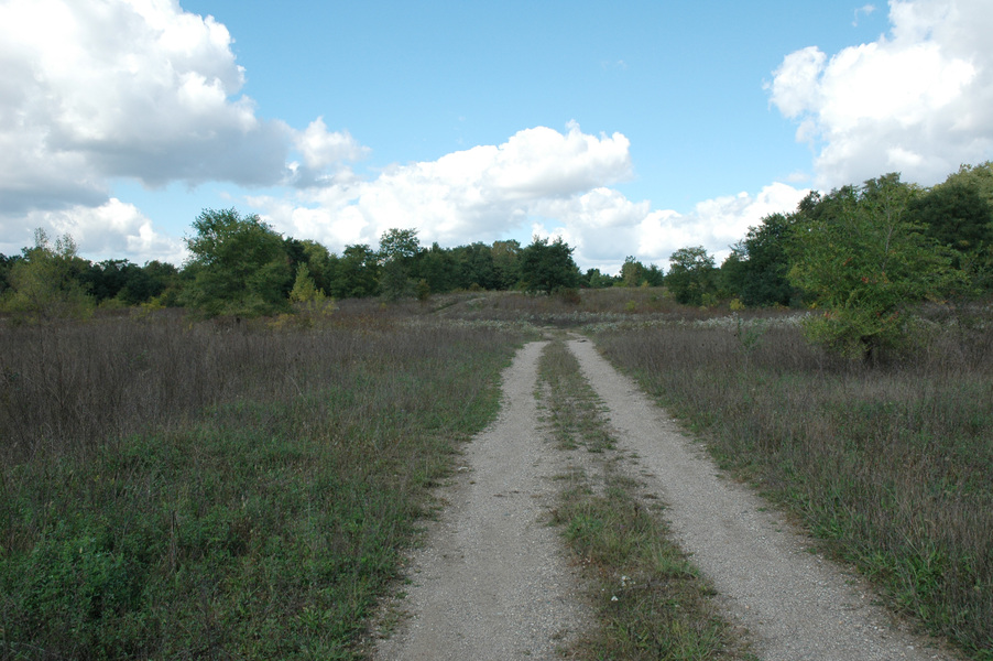 oldfield2