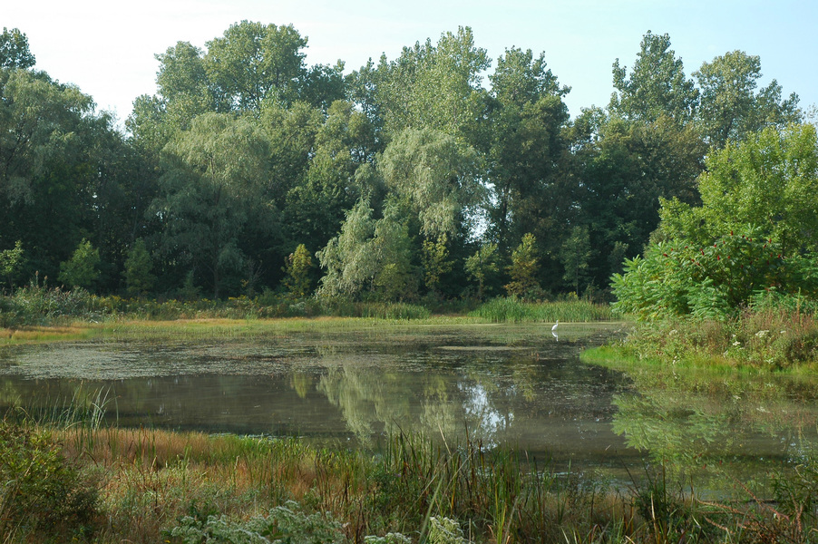 pond2