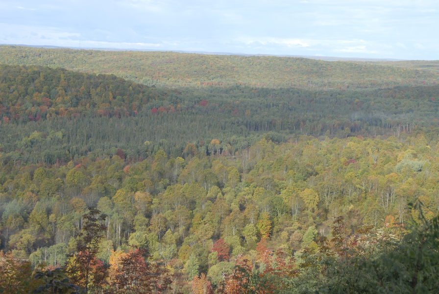 Deadmans_hill0024