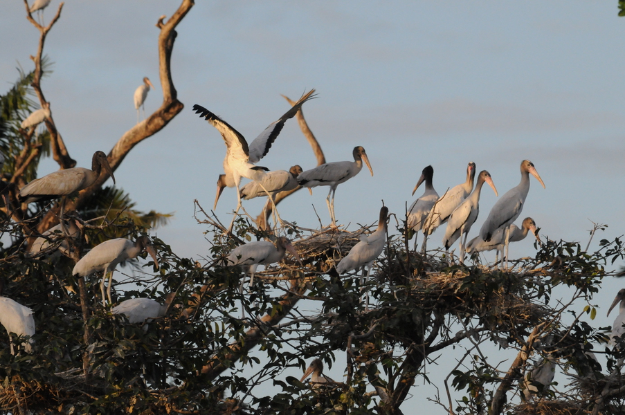 DSC_3573-WS3