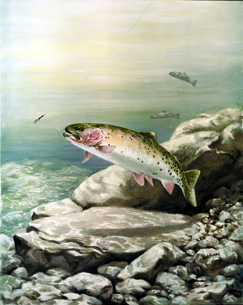 Oncorhynchus